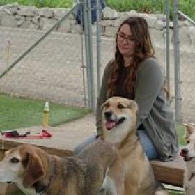Cesar Millan Better Human Better Dog S01 COMPLETE 720p DSNP WEBRip x264<span style=color:#39a8bb>-GalaxyTV[TGx]</span>