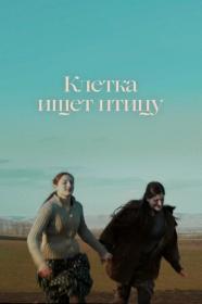 Kletka ishet ptitsu 2021 1080p WEBDL DD 5.1<span style=color:#39a8bb> MegaPeer</span>