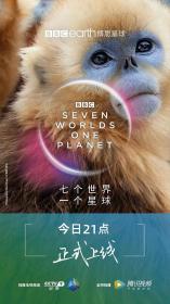 【首发于高清影视之家 】七个世界,一个星球[共7部合集][简繁英字幕] BBC Seven Worlds One Planet 2019 S01 EP01-EP07 UHD BluRay 2160p TrueHD Atmos 7 1 x265 10bit HDR<span style=color:#39a8bb>-ALT</span>