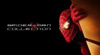 Spider-Man Trilogy 2002-2007 1080p 10bit BluRay Hindi DD 5.1 English AAC 5.1 x265 HEVC-TeamMCU