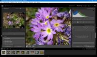 Adobe Lightroom Classic 2024 v13.1.0 (x64) Multilingual Pre-Activated [RePack]