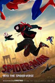 Spider-Man Un Nuevo Universo [BluRay Rip 720p X264 MKV][AC3 5.1 Castellano - Ingles - Sub ES][2019]