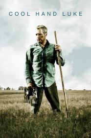 Cool Hand Luke (1967) [BluRay] [720p] <span style=color:#39a8bb>[YTS]</span>