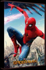 Spider-Man Homecoming 2017 BDRip Re-Encoded 1080p DTS AC3 x264-3Li