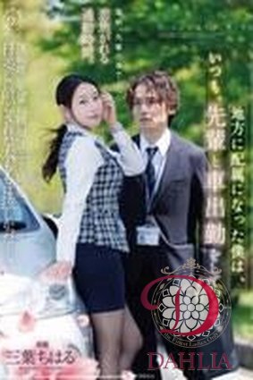 DLDSS-558