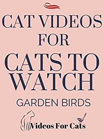 Like cats and dogs 2017 P HDTVRip 14OOMB<span style=color:#39a8bb>_KOSHARA</span>
