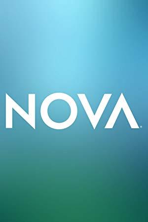 NOVA S48E14 Particles Unknown XviD<span style=color:#39a8bb>-AFG</span>