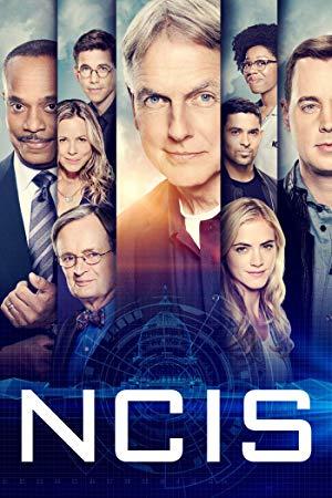 NCIS S10 1080p WEB-DL DD 5.1 H.264-BS[rartv]