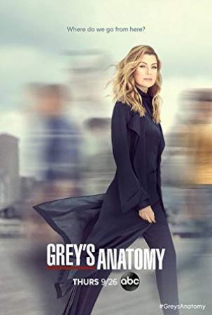 Grey's Anatomy S07E14 P Y T Pretty Young Thing 1080p Web-DL x264-OFT