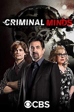 Criminal Minds S08E13 Magnum Opus 1080p DSNP WEB-DL DDP5.1 H.264-playWEB