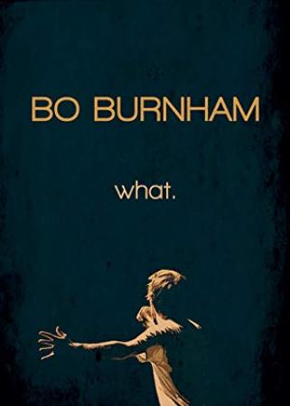 Bo Burnham what 2013 1080p WEB H264-SHIIIT