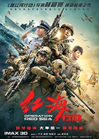 【首发于高清影视之家 】红海行动[国语音轨+简繁英字幕] Operation Red Sea 2018 BluRay 1080p x265 10bit-MiniHD