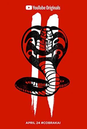 Cobra Kai S06E14 Strike Last 1080p NF WEB-DL DDP5.1 H.264-PIX