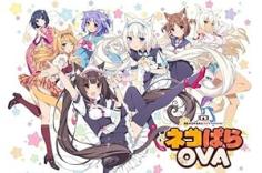 <span style=color:#39a8bb>[Judas]</span> Nekopara (Season 1) [1080p][HEVC x265 10bit][Eng-Subs]