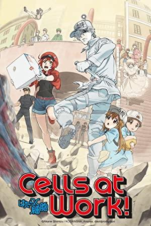 Cells at Work! S02 [Bluray-1080p Remux-h264]-LazyRemux